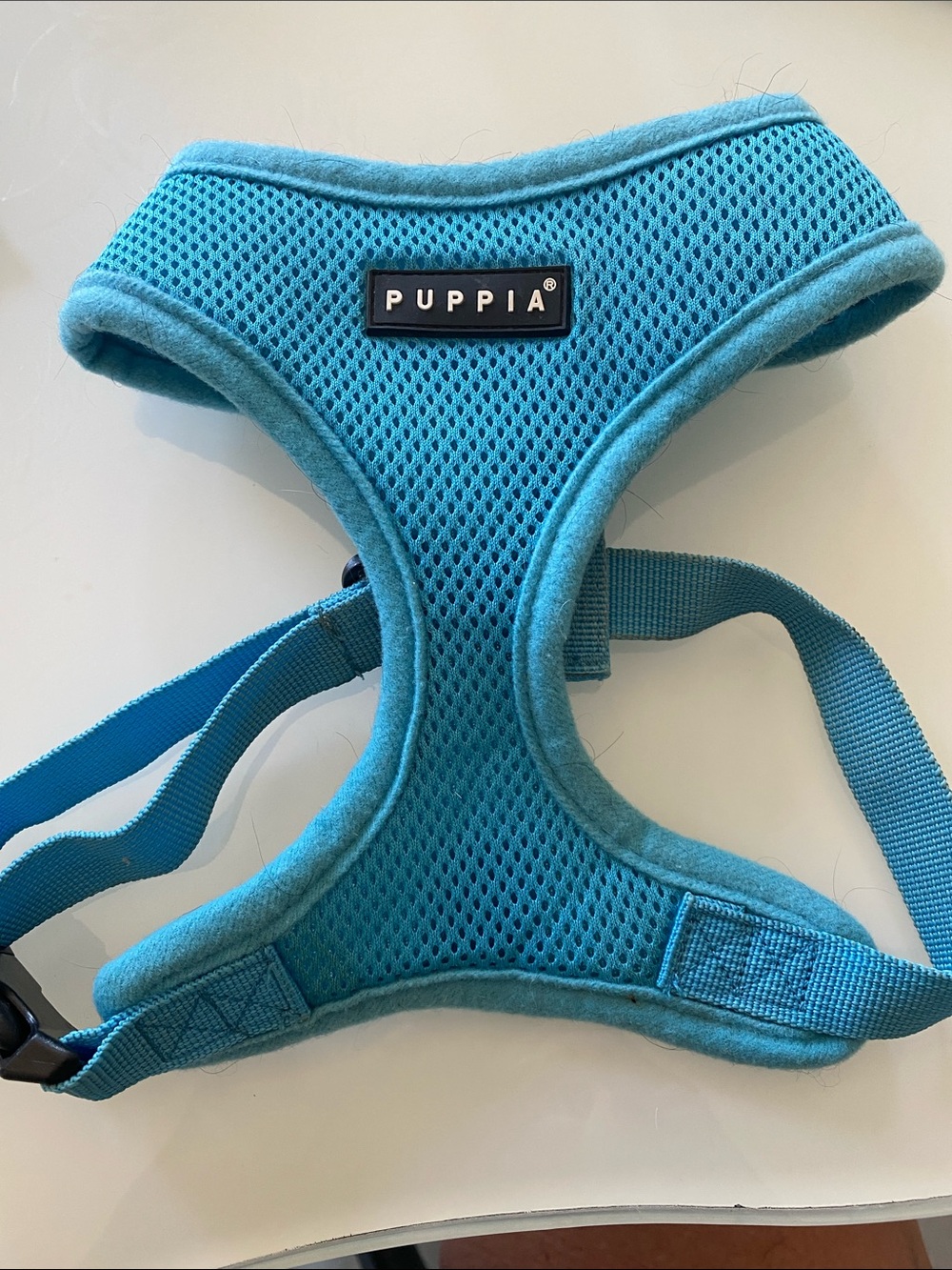 Puppia Teal Mesh Comfort Dog Harness